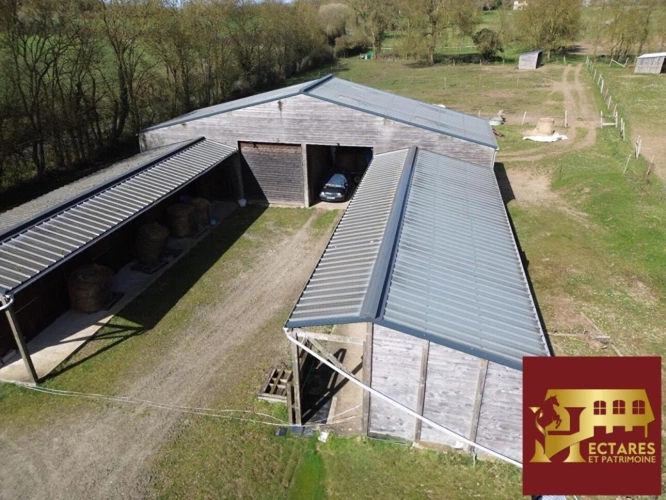 Photos 7 - Equestrian - Propriété équestre, 10 hectares, 2 maisons