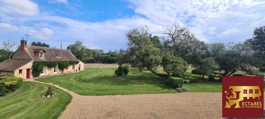 Photos 15 - Equestrian - LA FLECHE Propriété équestre avec gîtes