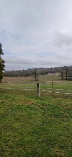 Photos 11 - Equestrian - Corps de ferme et 19 hectares attenants
