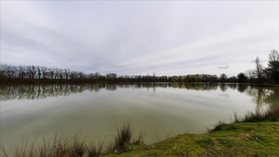 Photos 10 - Forestière - ARTHON étang