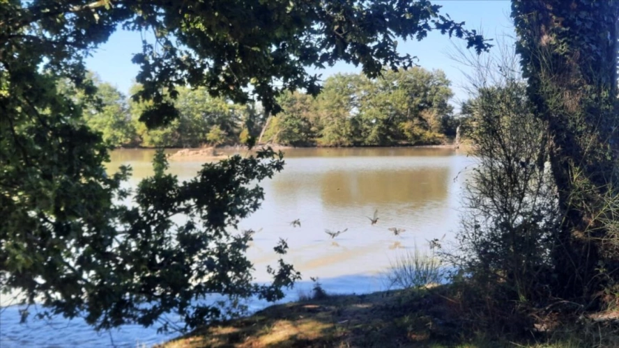 Photos 2 - Forestière - ARTHON étang