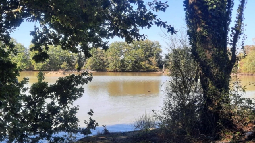 Photos 4 - Forestière - ARTHON étang