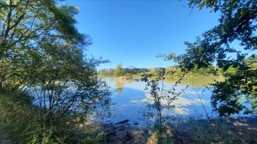 Photos 5 - Forestière - ARTHON étang