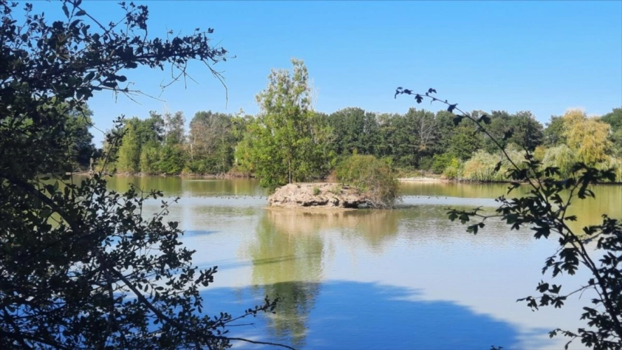 Photos 6 - Forestière - ARTHON étang