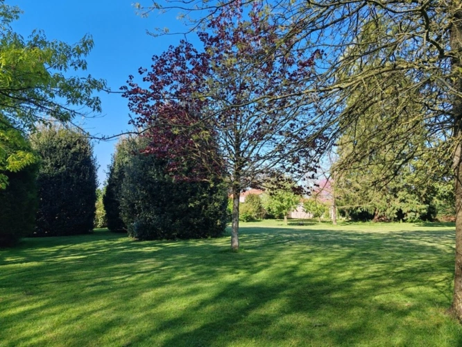 Photos 31 - Rural - Propriete à vendre 12 pièces L'OIE (85)