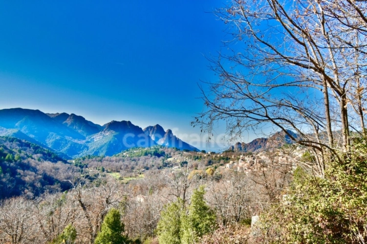 Photos 1 - Prestige - EVISA (CORSE) A VENDRE : Ensemble immobilier touristique : bâtiment gîte-hôtel/restaurant + 6 chalets avec piscine