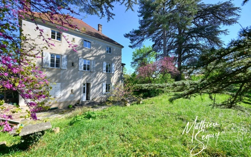 Photos 1 - Prestige - Découvrez l'élégance intemporelle de cette Maison de Maître d'exception à rénover