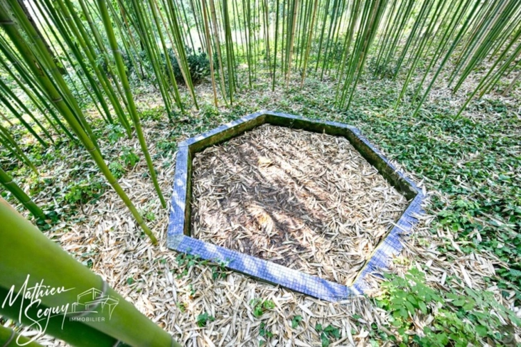 Photos 35 - Prestige - Découvrez l'élégance intemporelle de cette Maison de Maître d'exception à rénover