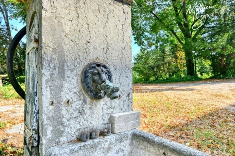 Photos 47 - Prestige - Découvrez l'élégance intemporelle de cette Maison de Maître d'exception à rénover