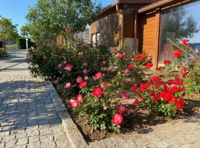 Photos 17 - Touristique - Domaine  à vendre 22 pièces