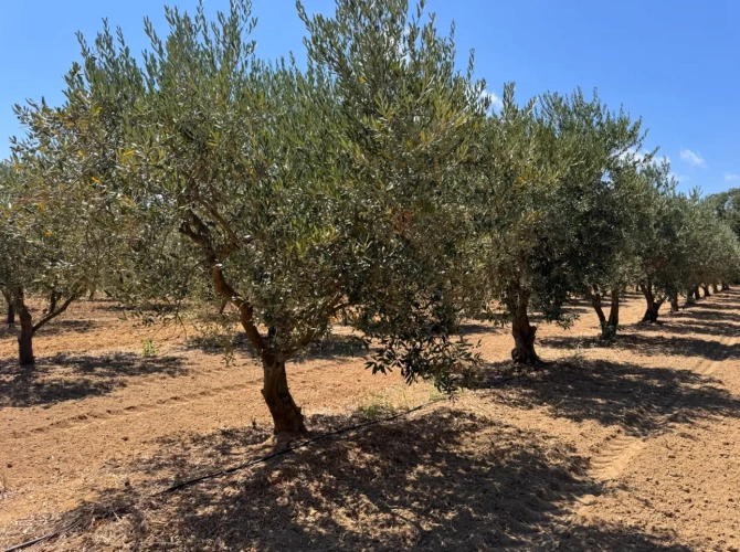 Photos 18 - Touristique - Maison de Campagne - Gites - Local de Vente