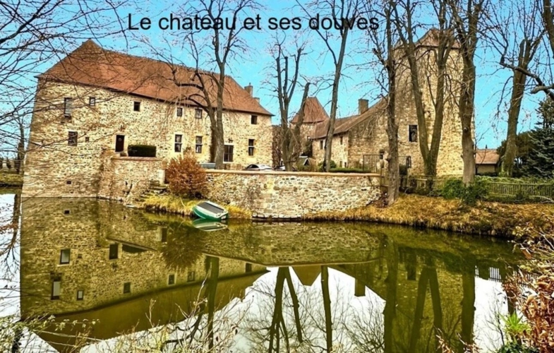 Photos 1 - Prestige - Château à vendre au coeur du bocage bourbonnais sur un parc de 1,5 Ha