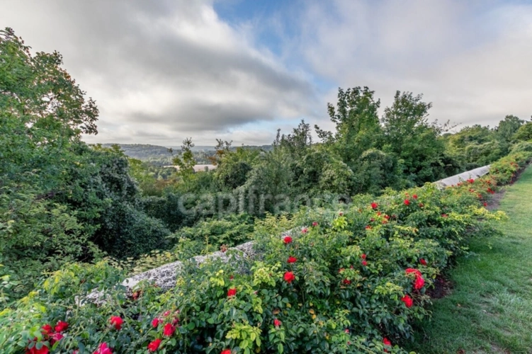 Photos 43 - Rural - Propriete à vendre 11 pièces Soissons (02)