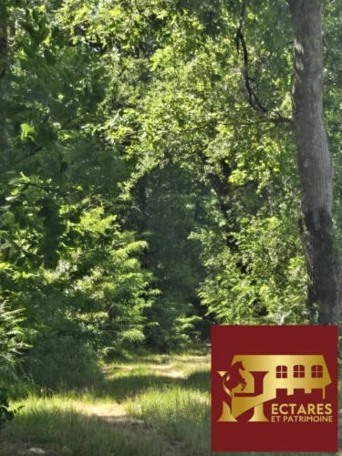 Photos 4 - Équestre - PROPRIETE EQUESTRE - MAISON + INSTALLATIONS + HECTARES