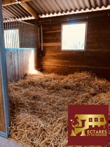 Photos 8 - Équestre - PROPRIETE EQUESTRE - MAISON + INSTALLATIONS + HECTARES