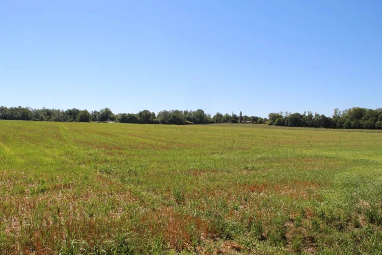 Photos 6 - Agricole - Vends exploitation céréalières grandes cultures 168ha de SAU irriguée en GIRONDE (33)