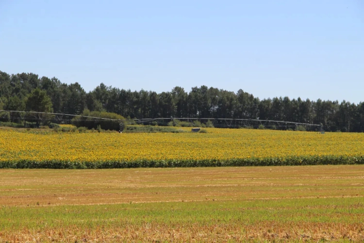 Photos 8 - Agricole - Vends exploitation céréalières grandes cultures 168ha de SAU irriguée en GIRONDE (33)