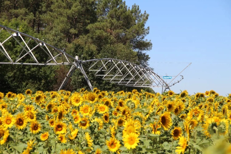 Photos 9 - Agricole - Vends exploitation céréalières grandes cultures 168ha de SAU irriguée en GIRONDE (33)