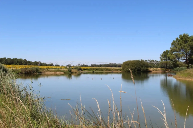 Photos 10 - Agricole - Vends exploitation céréalières grandes cultures 168ha de SAU irriguée en GIRONDE (33)