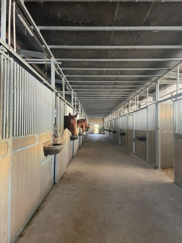 Photos 3 - Agricole - Haras de Reproduction Clé en Main sur 52 ha dans le Morbihan