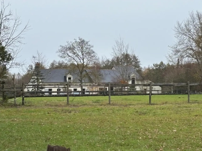 Photos 1 - Equestrian - Rare ! Turnkey equestrian property 15 minutes from Saumur
