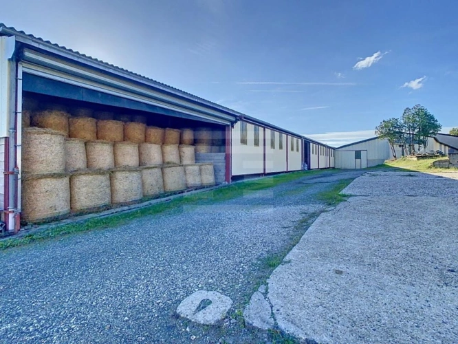 Photos 1 - Agricole - Ovins / Caprins