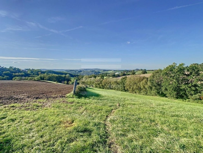 Photos 4 - Agricole - Ovins / Caprins