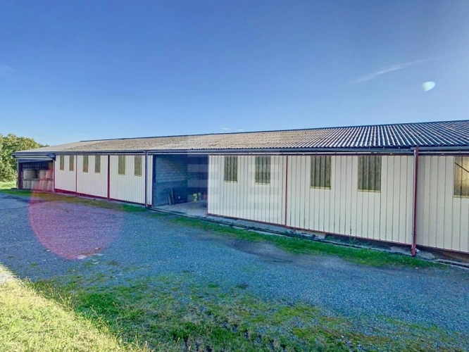 Photos 7 - Agricole - Ovins / Caprins