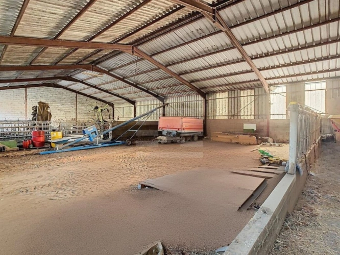 Photos 9 - Agricole - Ovins / Caprins