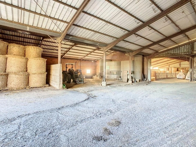 Photos 10 - Agricole - Ovins / Caprins