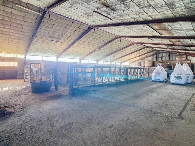 Photos 11 - Agricole - Ovins / Caprins