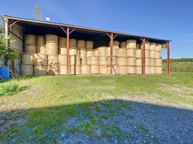 Photos 13 - Agricole - Ovins / Caprins