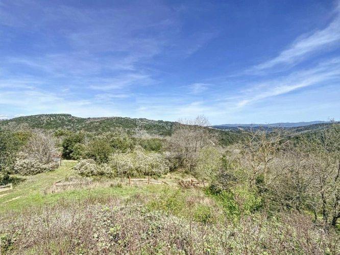 Photos 9 - Forestière - Domaine