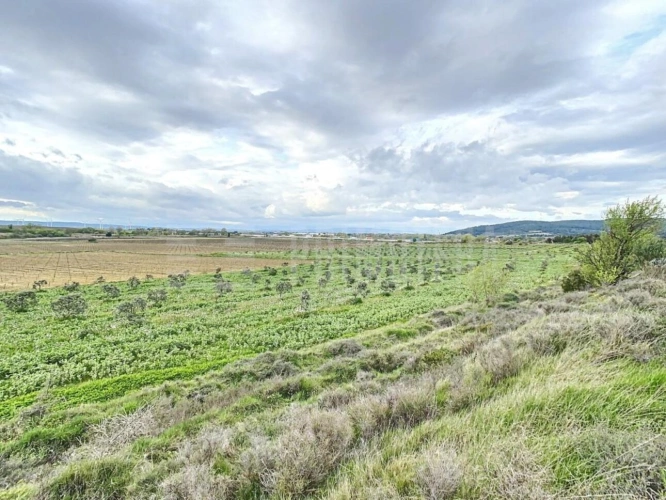 Photos 2 - Agricole - Terrain agricole