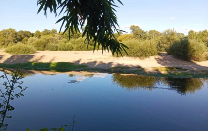 Photos 2 - Rurale - Terrain de Loisirs bord de Loire de 11 000 m² proche de NEVERS FOURCHAMBAULT LA CHARITE SUR LOIRE (58)