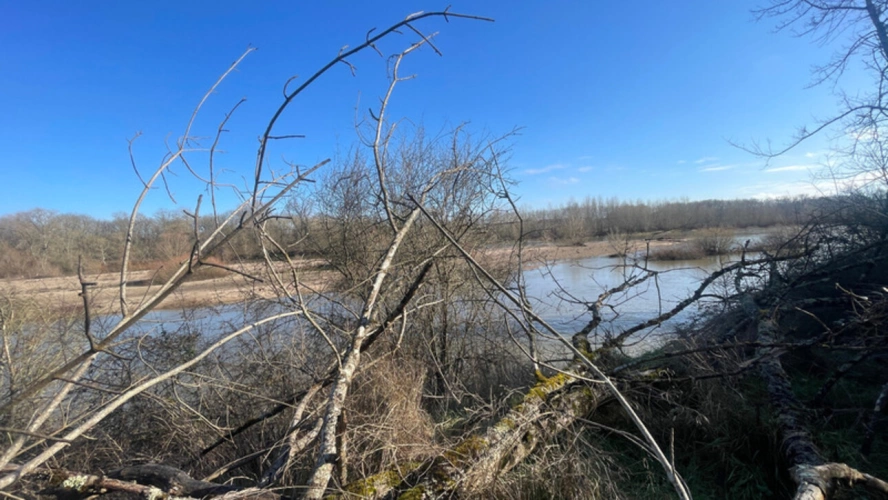Photos 3 - Rurale - Terrain de Loisirs bord de Loire de 11 000 m² proche de NEVERS FOURCHAMBAULT LA CHARITE SUR LOIRE (58)