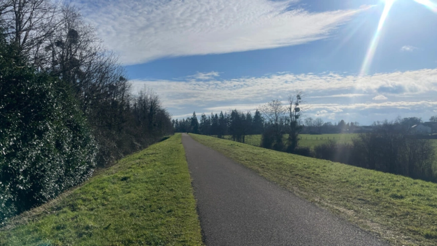 Photos 5 - Rurale - Terrain de Loisirs bord de Loire de 11 000 m² proche de NEVERS FOURCHAMBAULT LA CHARITE SUR LOIRE (58)