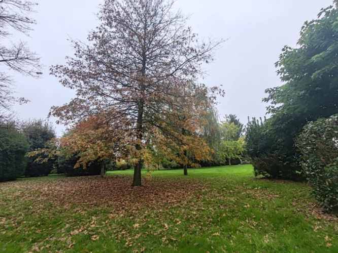 Photos 4 - Rurale - Propriete à vendre 12 pièces L'OIE (85)