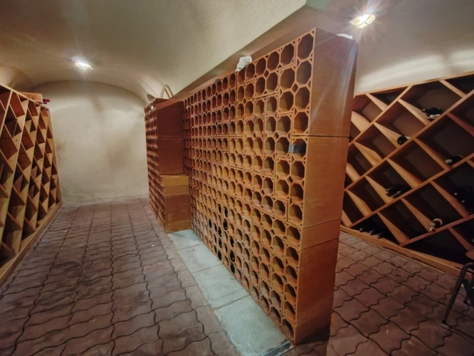 Photos 25 - Rurale - Propriete à vendre 12 pièces L'OIE (85)