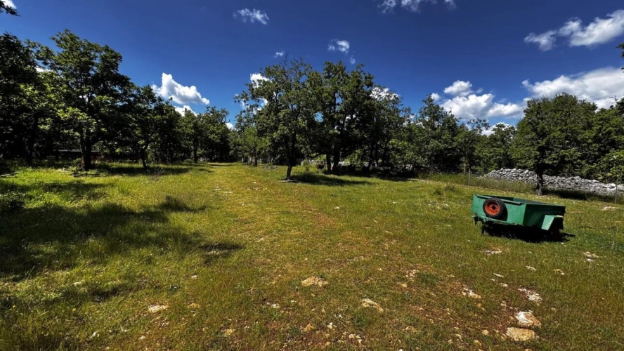 Photos 3 - Agricole - Terrain