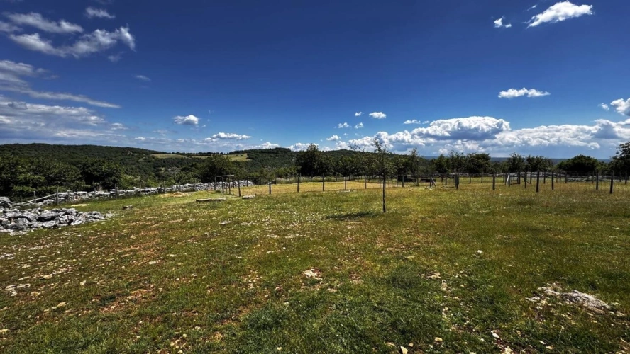 Photos 4 - Agricole - Terrain