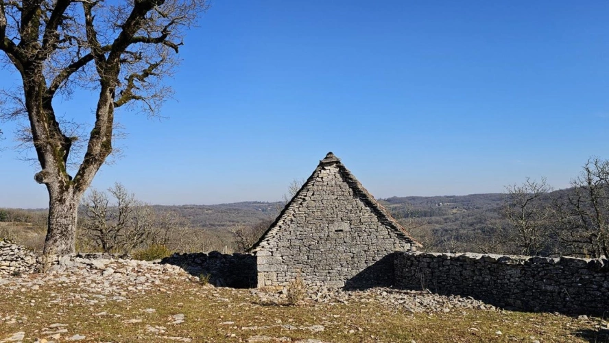 Photos 7 - Agricole - Terrain