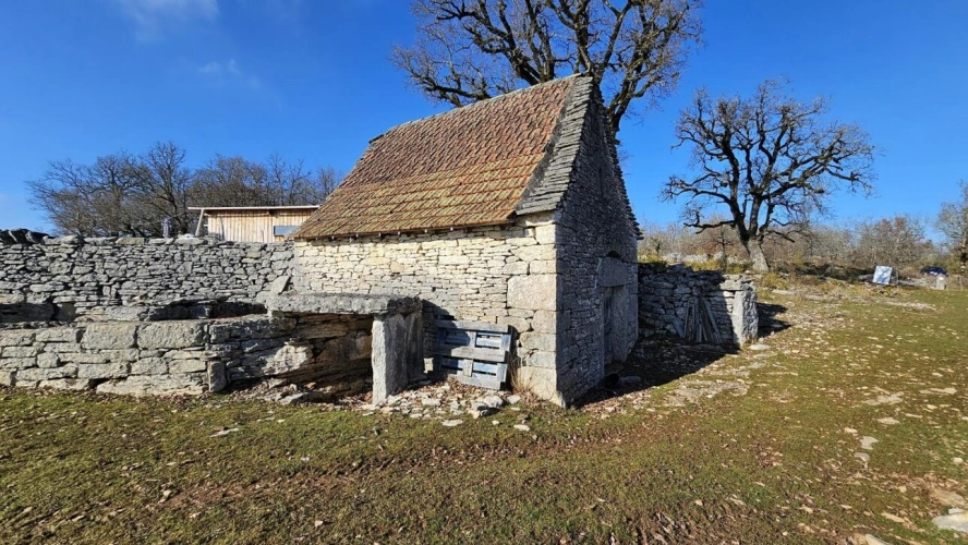 Photos 13 - Agricole - Terrain