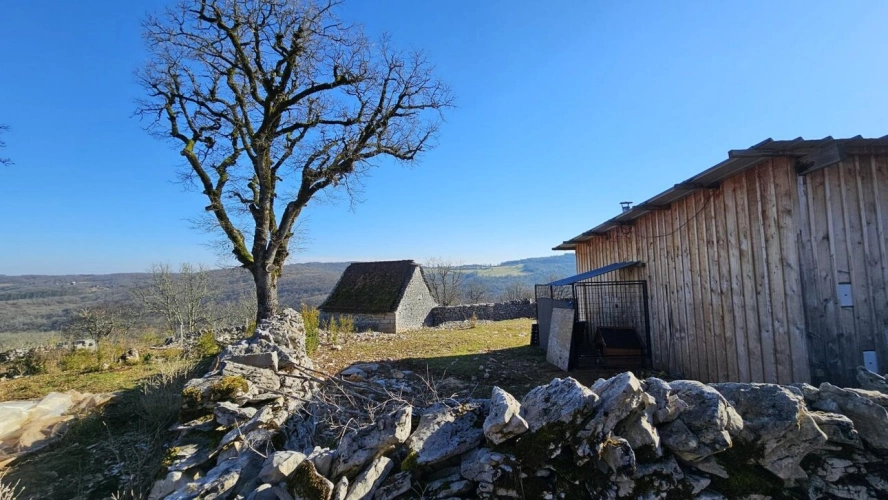 Photos 17 - Agricole - Terrain