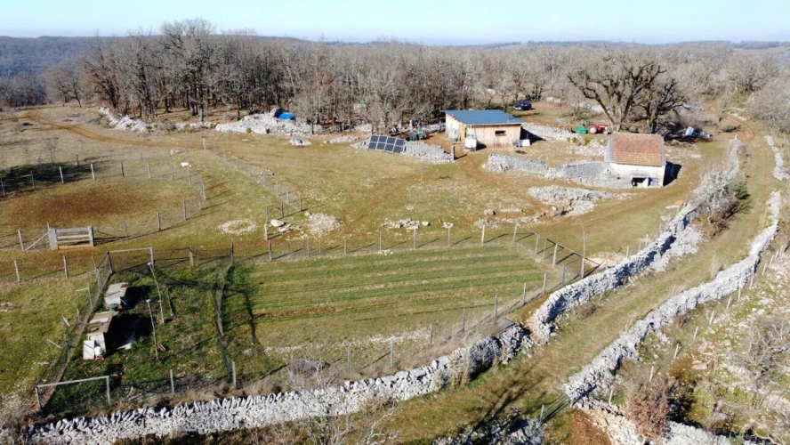 Photos 19 - Agricole - Terrain