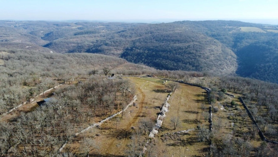 Photos 20 - Agricole - Terrain