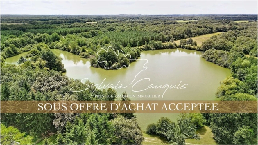 Photos 1 - Forest - 185-hectare hunting and leisure estate in Sologne