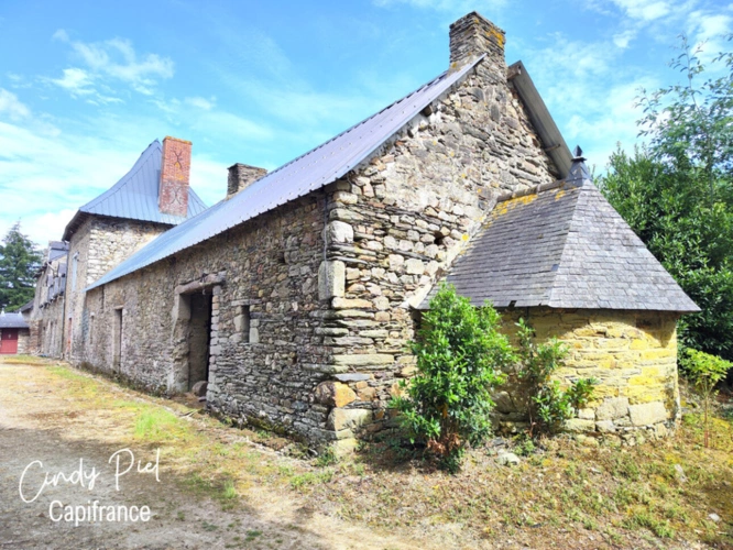 Photos 11 - Prestige - Dpt Morbihan (56), à vendre QUELNEUC manoir propriété d'exception - Terrain de 27 103 m²