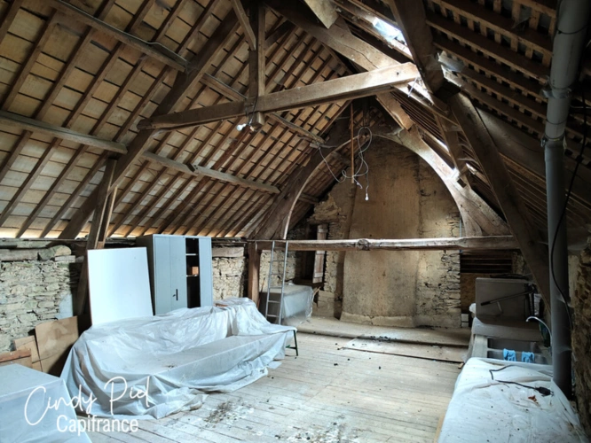 Photos 25 - Prestige - Dpt Morbihan (56), à vendre QUELNEUC manoir propriété d'exception - Terrain de 27 103 m²