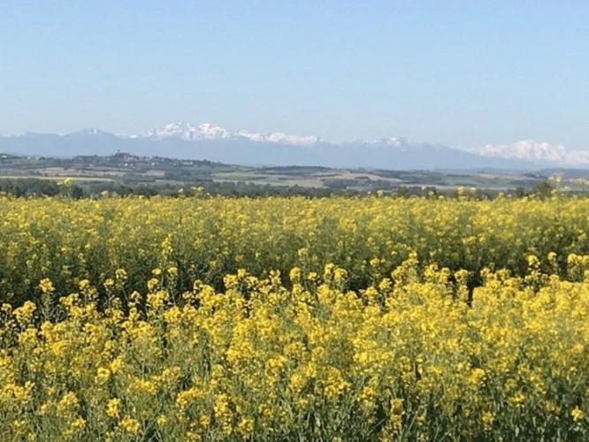 Photos 10 - Prestigious - House